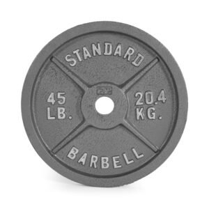 Barbell Gray Cast Iron Weight Plate, 45 Lb Gym Equipment