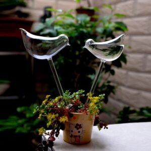 Glass Automatic Self Watering Bird Houseplant